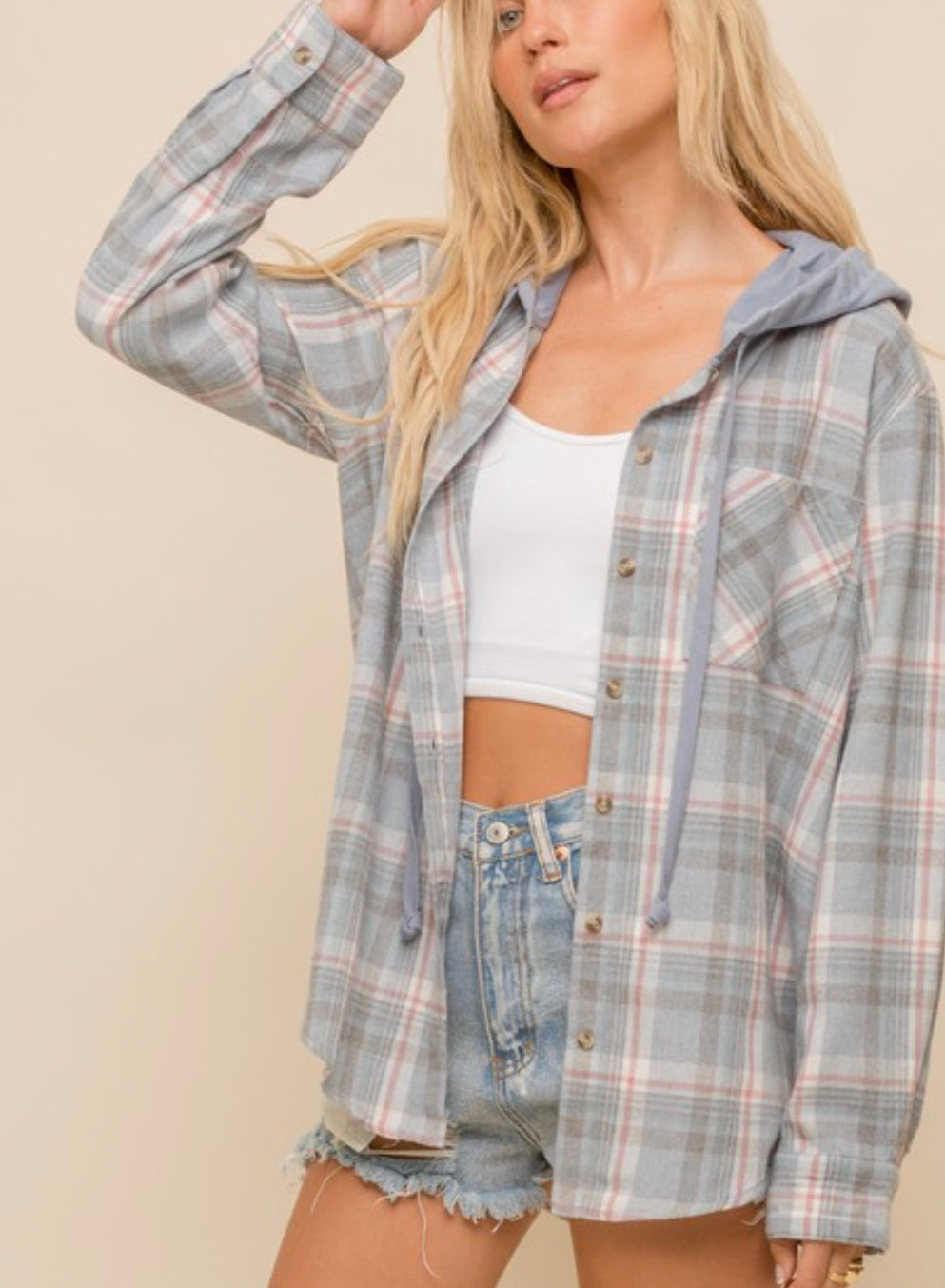 Terry Hoodie Plaid Button Down Dusty Blue